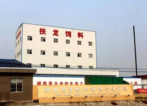 深耕本土，創(chuàng)新制勝 一家湖北小龍蝦飼料企業(yè)的萬噸級突圍之路